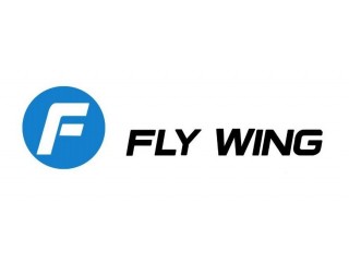 FLY WING